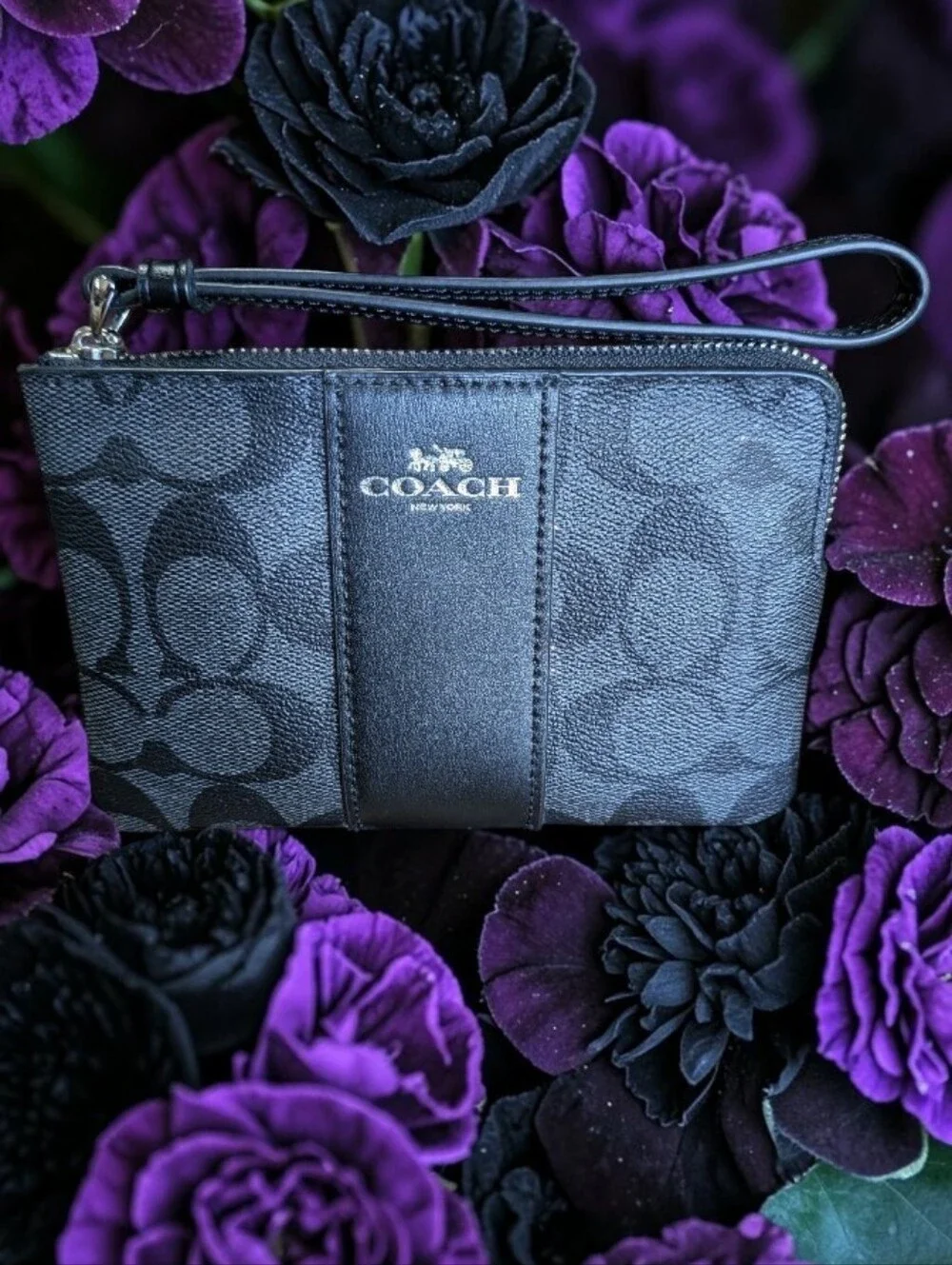 Coach Black Signature Zip Wristlet